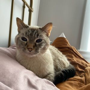 Meet your Posher, Michelle